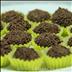 Brigadeiro